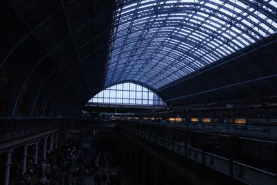 DSC_1561 (Large).JPG